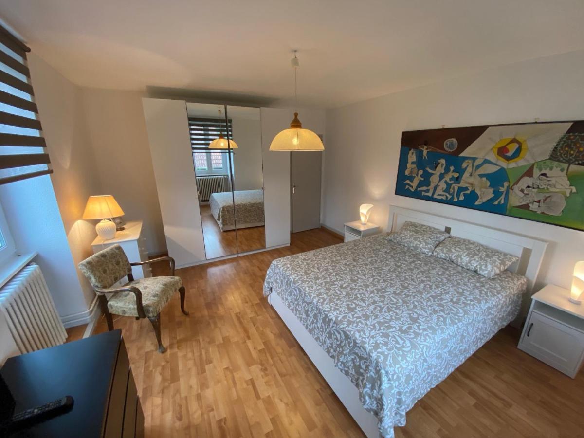 Magnifique Villa A 5 Minutes De Colmar Horbourg Екстер'єр фото