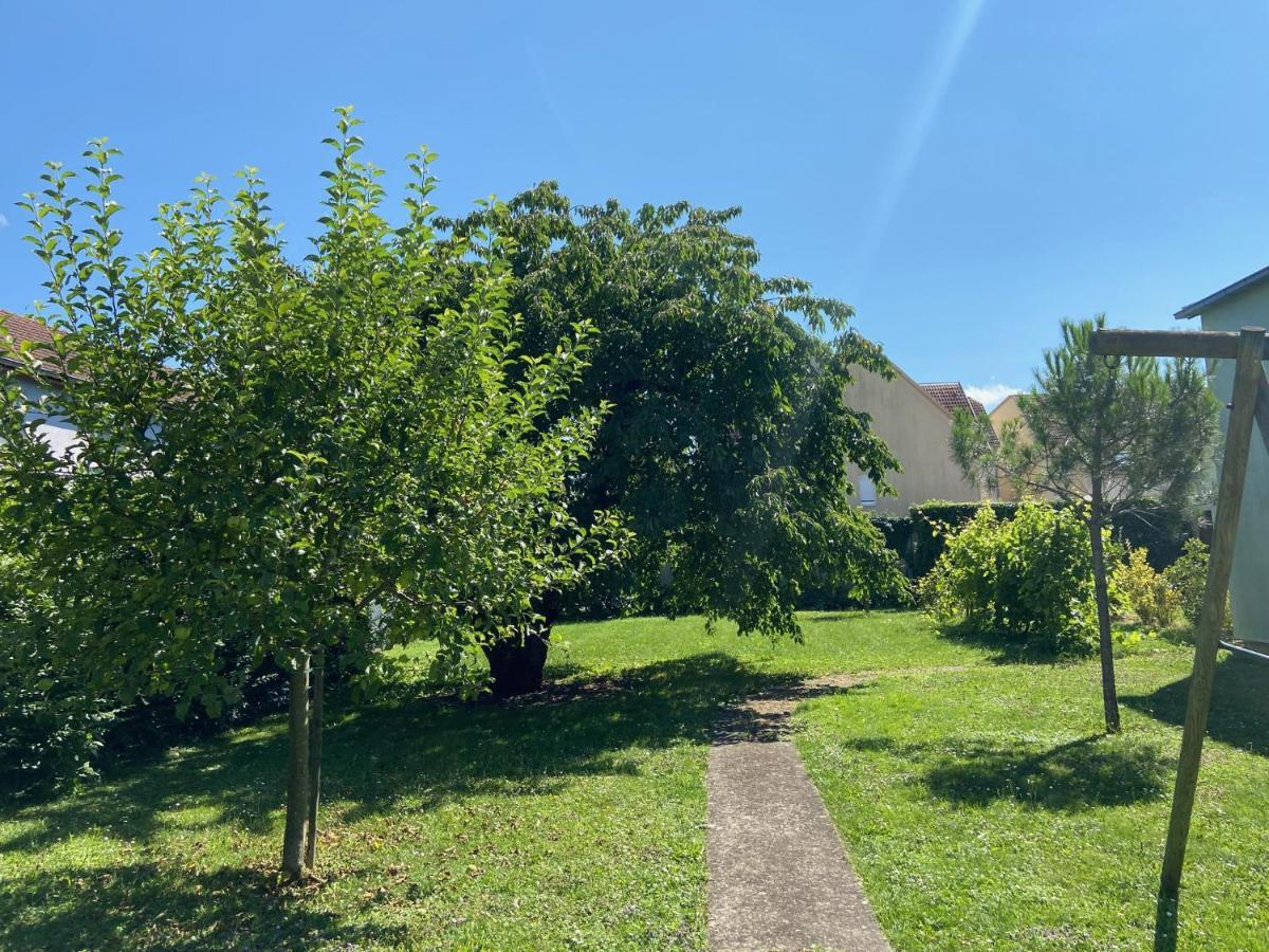 Magnifique Villa A 5 Minutes De Colmar Horbourg Екстер'єр фото